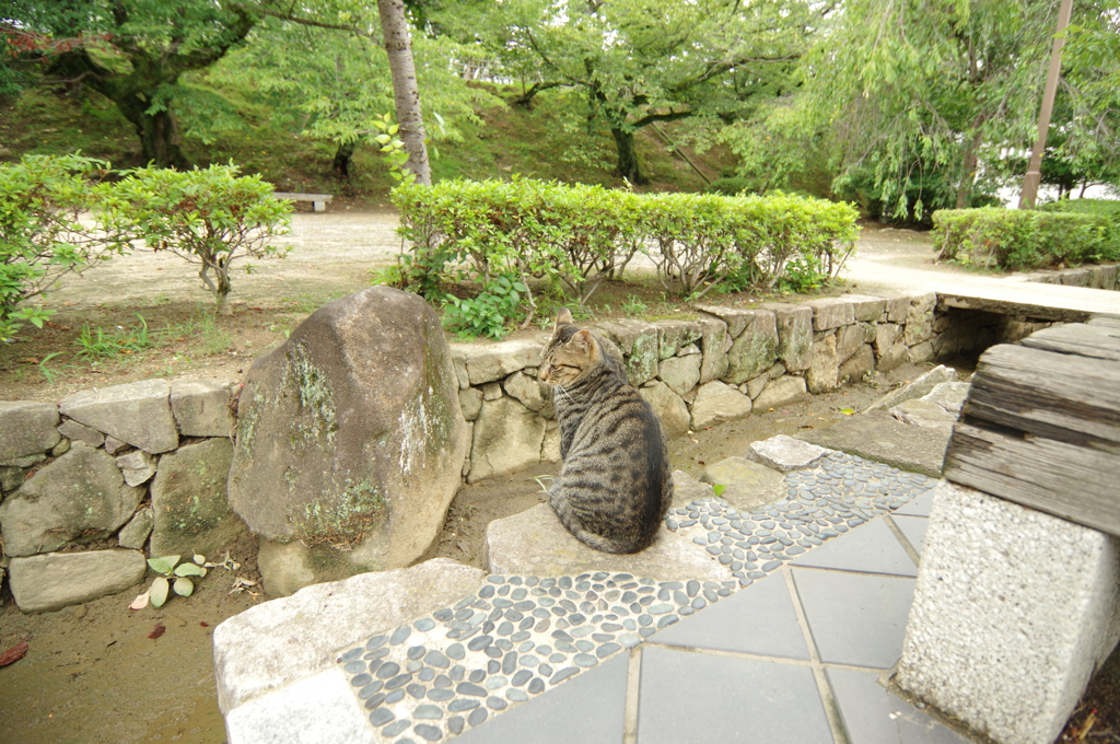 夏、姫路城周辺にて⑨