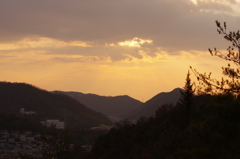 近所の神社にて⑤