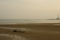 河口の港にて12