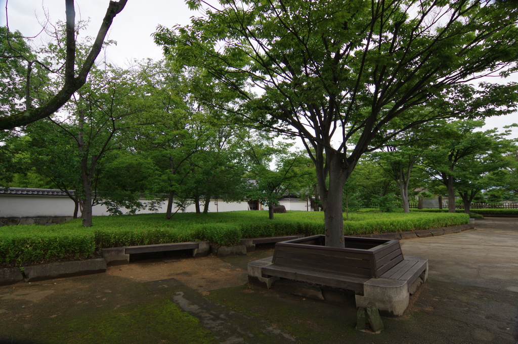 夏、姫路城周辺にて①