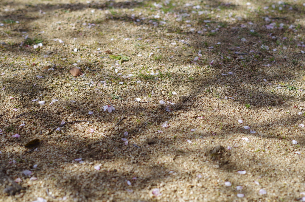 20140406-144145-0