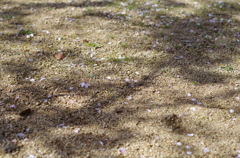 20140406-144145-0
