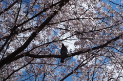 20140406-143321-0