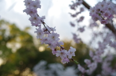 20140404-174728-0