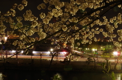 20140404-201643-0