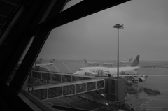 上海浦東空港にて⑥