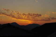 ★55mm試し撮り⑧