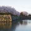 20140404-175328-0
