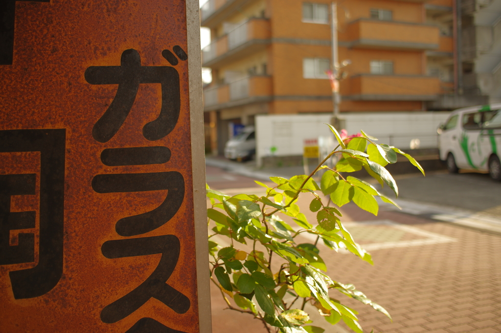 姫路城裏~野里にて　其の④