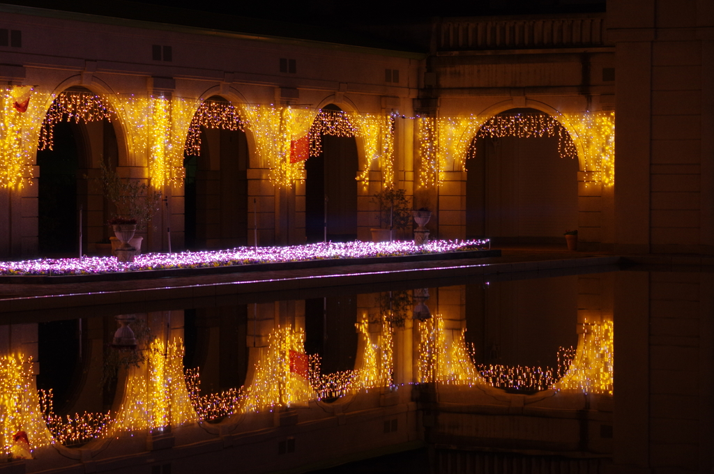 神戸イルミナージュ⑥