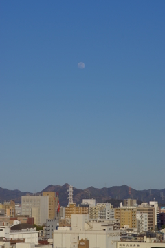 3月下旬の手柄山　其の⑪