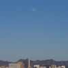 3月下旬の手柄山　其の⑪