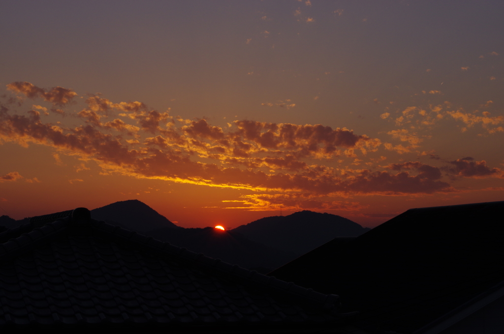 ★55mm試し撮り⑦