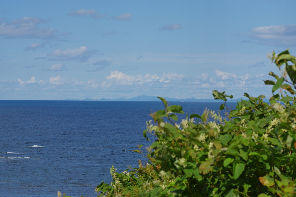 北海道は稚内にて　其の⑥