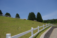 六甲山牧場04