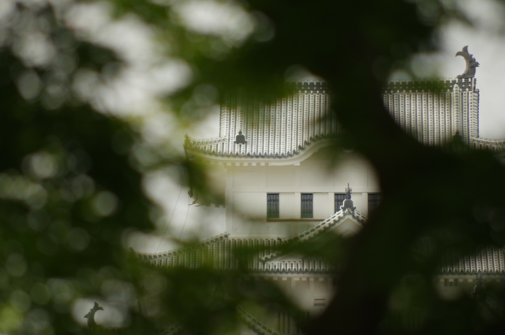 姫路城から04