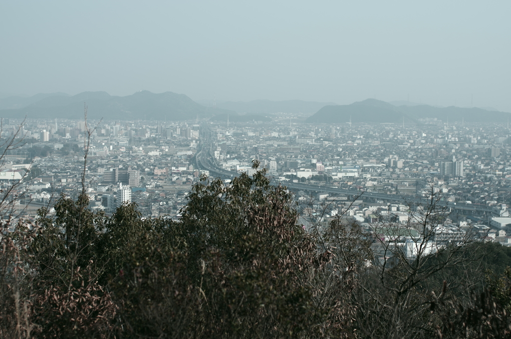 苫編山にて　其の8