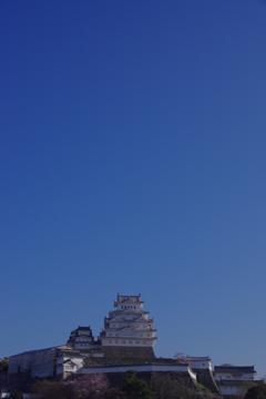 桜の姫路城(31mm)　其の⑦
