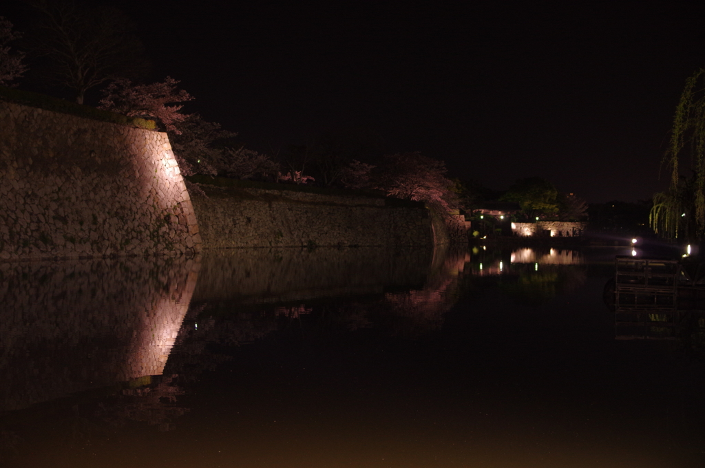 夜桜の姫路城(31mm)　其の⑩