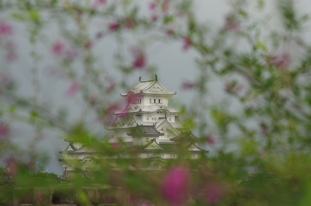 姫路城から09