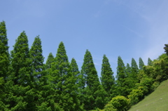 六甲山牧場08