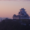 桜の姫路城(77mm)　其の①