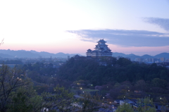 桜の姫路城(31mm)　其の①