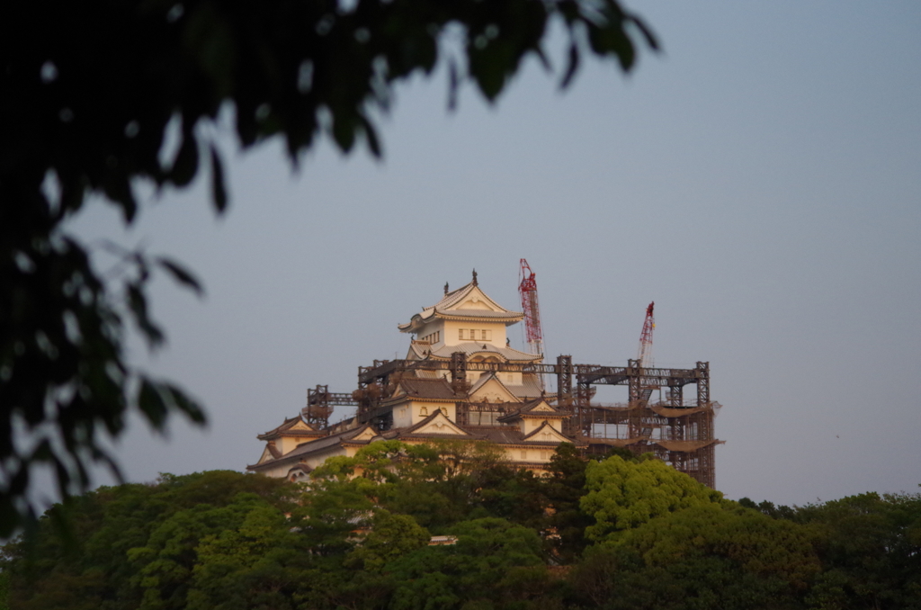 姫路城（工事中）④