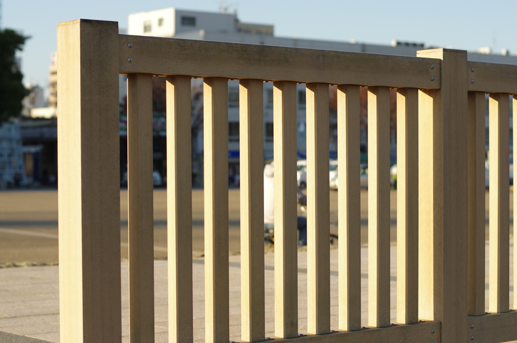 初冬の朝の公園にて③