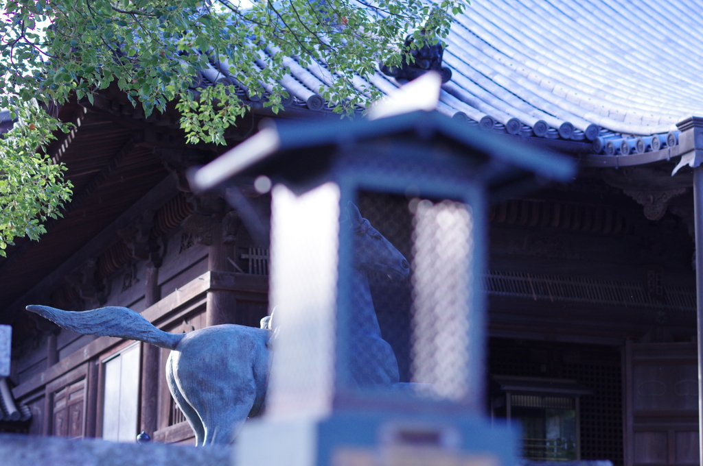 秋き終わりの斑鳩寺にて⑩