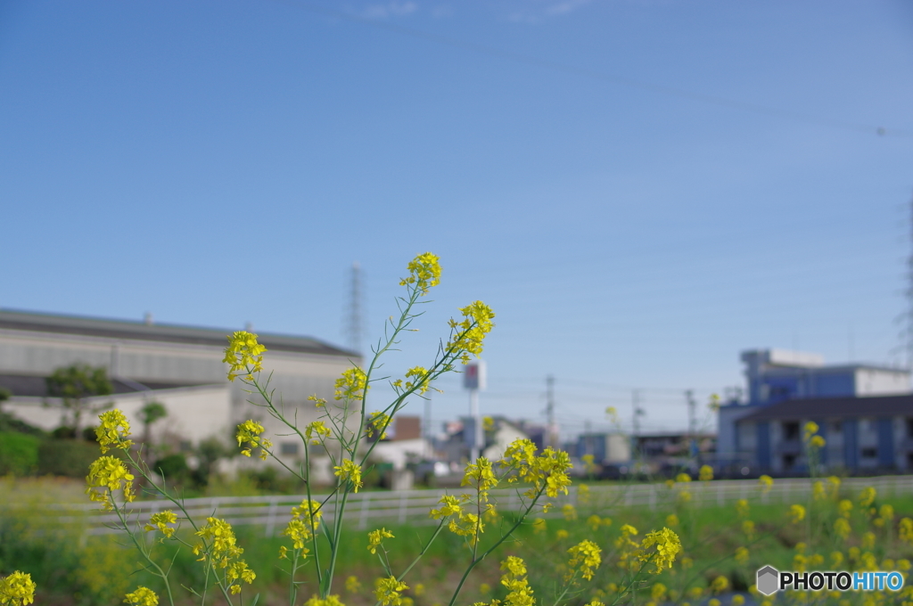 家の近所　其の①