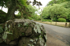 夏、姫路城周辺にて③
