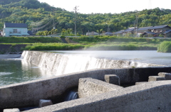 近所の河川にて(2014/5/11)5
