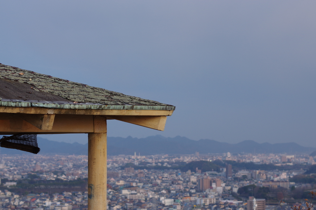 近所の神社にて⑥
