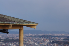 近所の神社にて⑥