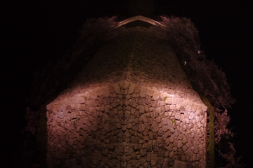 夜桜の姫路城(31mm)　其の⑨