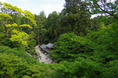 ゴールデンウィークの書写山(2015/5/6)⑨