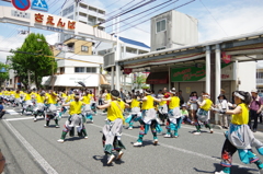 高知　よさこい祭りにて②