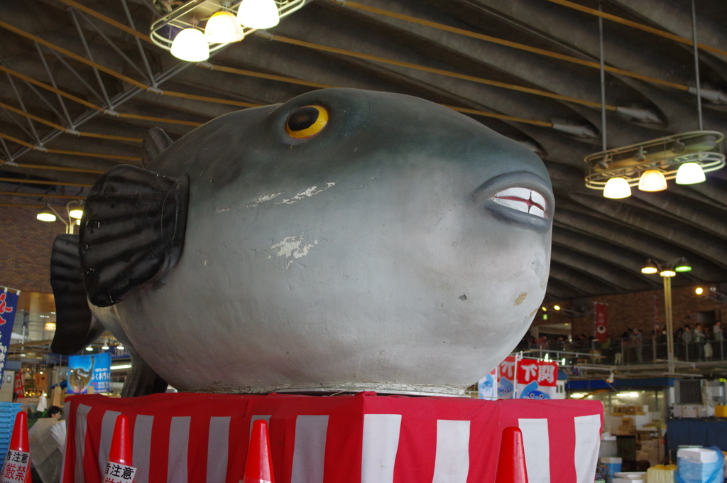 唐戸市場にて　其の①