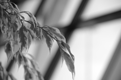 上海浦東空港にて⑦