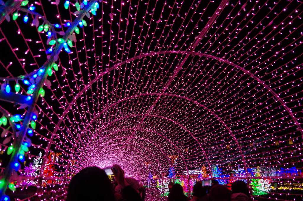 神戸イルミナージュ①