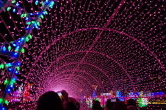 神戸イルミナージュ①