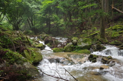 渓流釣りキャンプにて