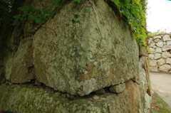 夏、姫路城周辺にて②