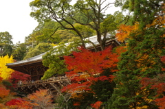 秋の書写山円教寺にて①