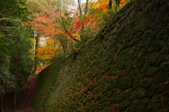 秋の書写山円教寺にて⑥