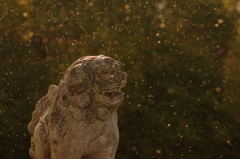 近所の神社にて④