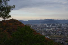 近所の神社にて　其の④