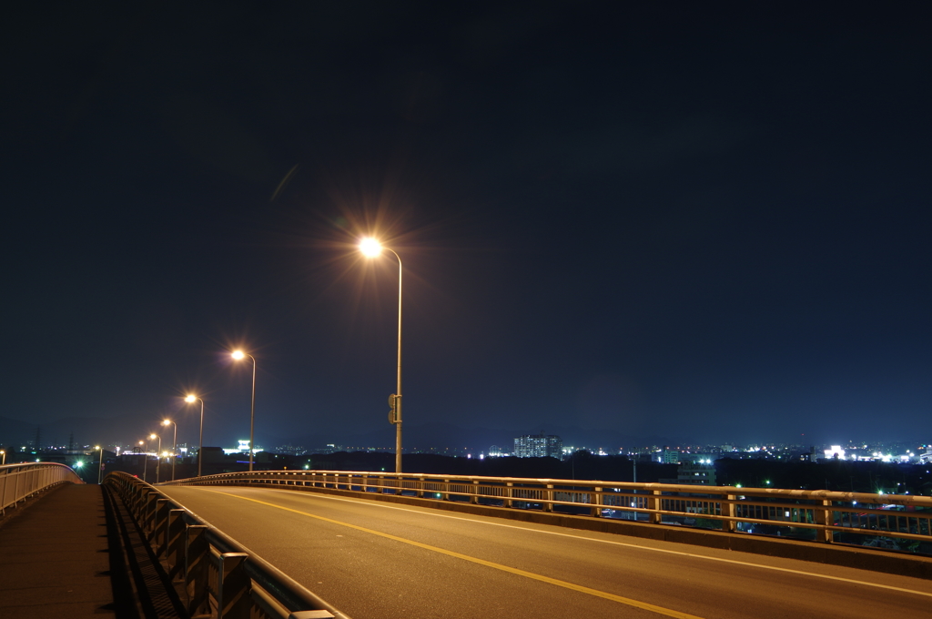 とある橋の夜景③