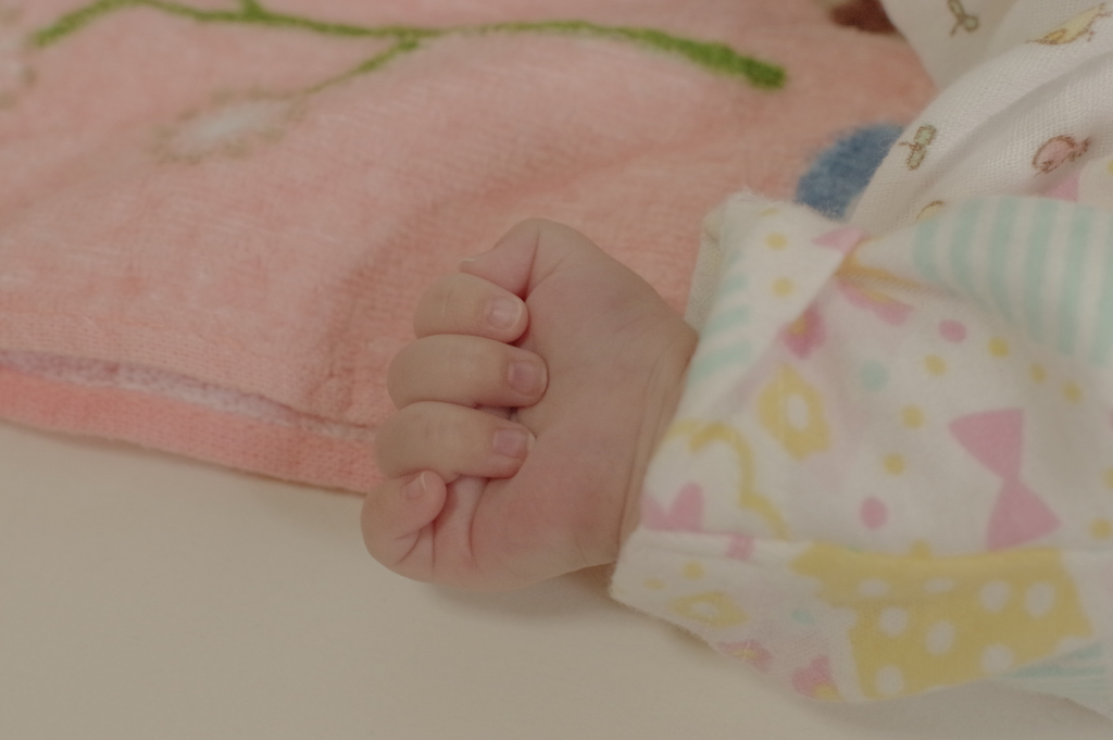 姪っ子　其の③